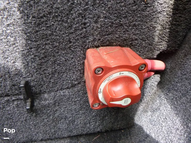 Slide: The Image of Tige Z1 2010 - 11027992