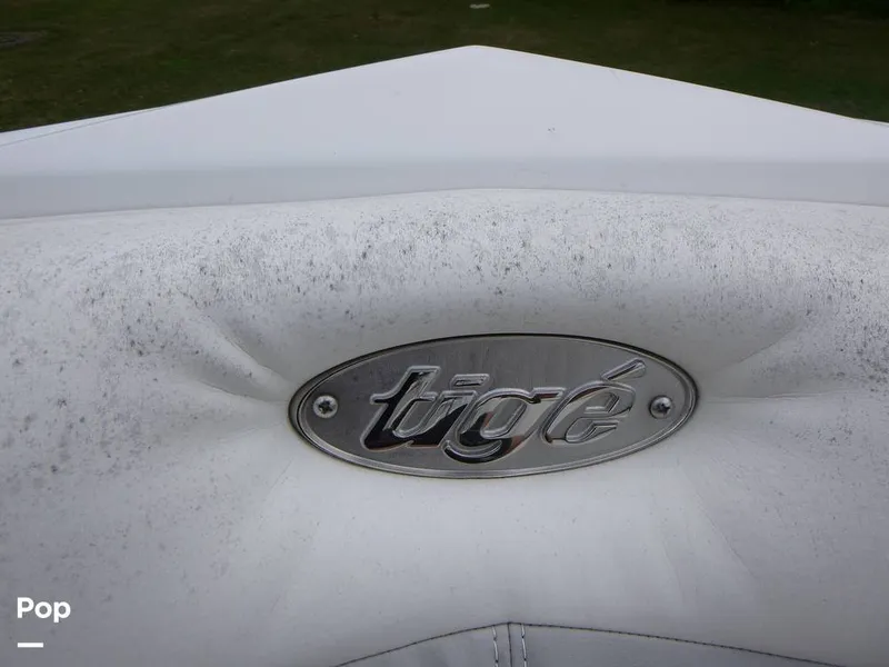 Slide: The Image of Tige Z1 2010 - 11028027