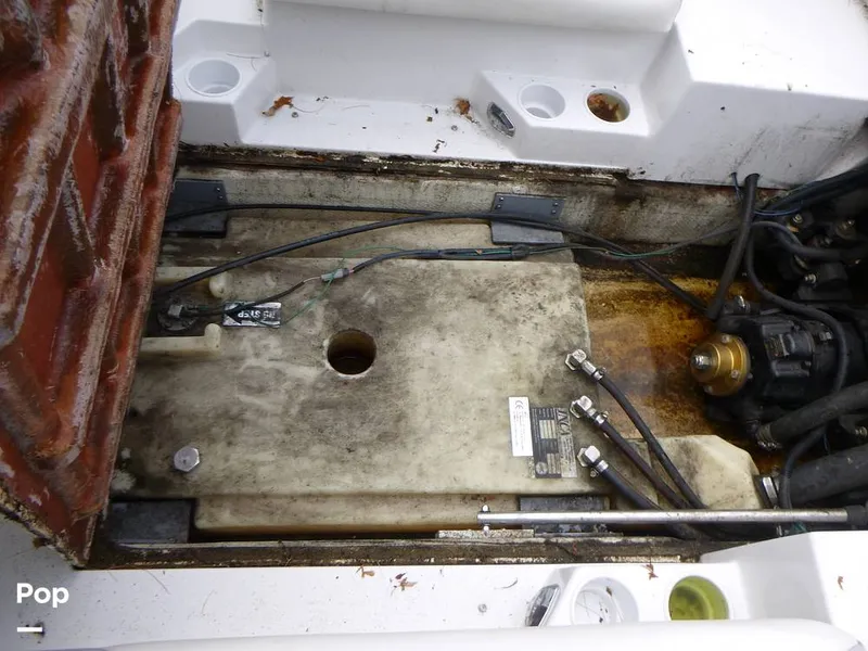 Slide: The Image of Tige Z1 2010 - 11028031