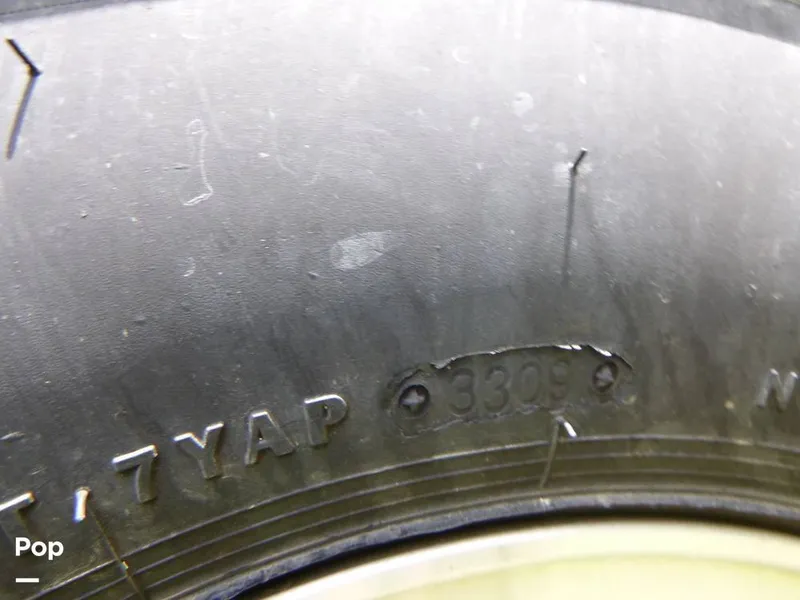 Slide: The Image of Tige Z1 2010 - 11028037