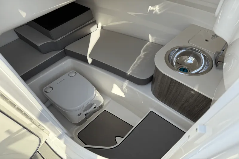 Slide: The Image of Sea Ray 250 SDX 2025 - 19