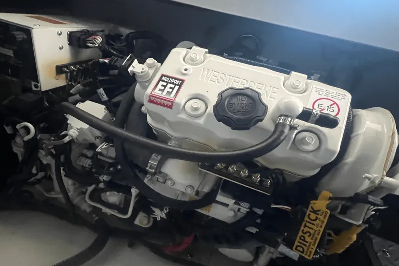 Slide: The Image of Sea Ray Sundancer 320 Outboard 2024 - 25