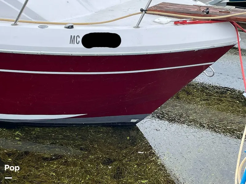 Slide: The Image of Hull - 11335684