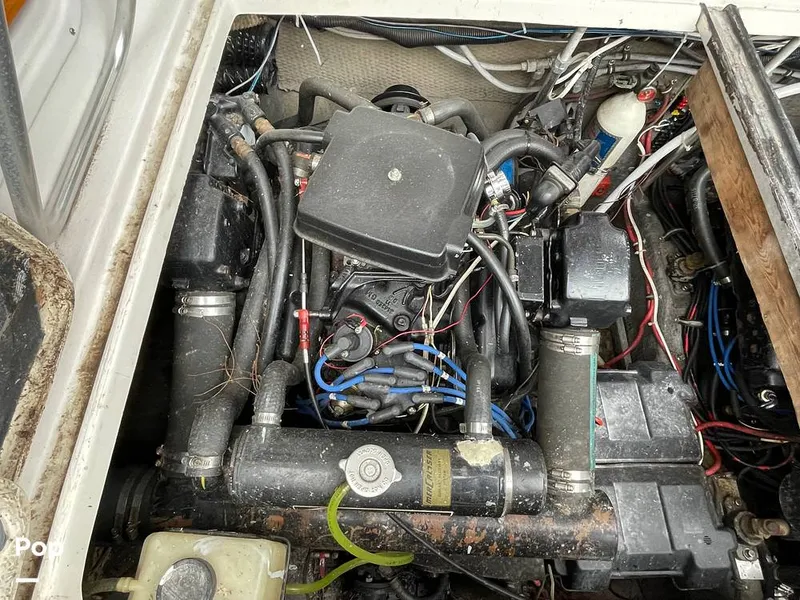 Slide: The Image of Chris-Craft 281 Catalina 1986 - 11335701