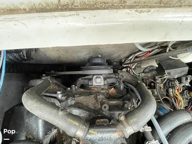 Slide: The Image of Chris-Craft 281 Catalina 1986 - 11335716