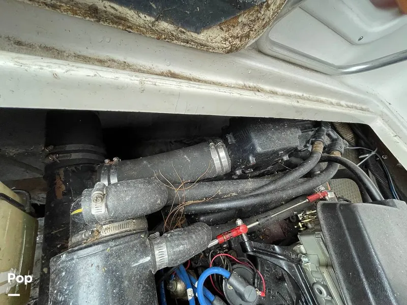 Slide: The Image of Chris-Craft 281 Catalina 1986 - 11335720