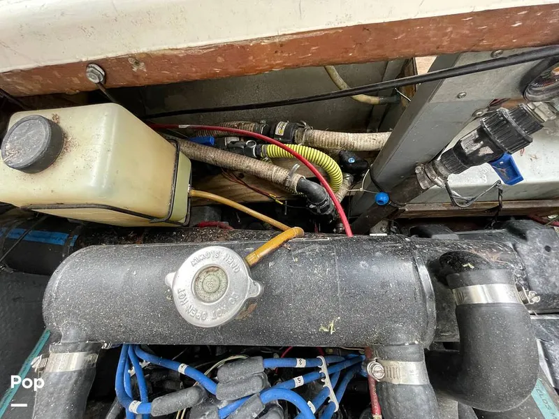 Slide: The Image of Chris-Craft 281 Catalina 1986 - 11335728