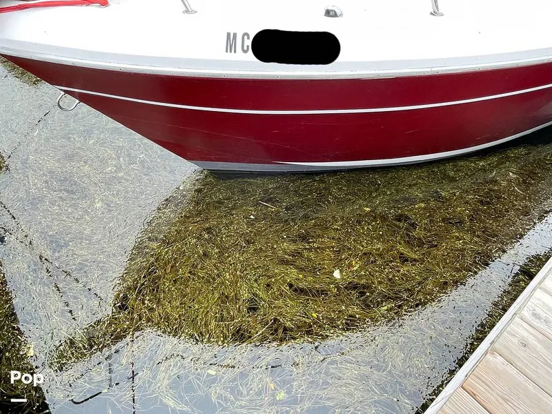 Slide: The Image of Hull - 11335690