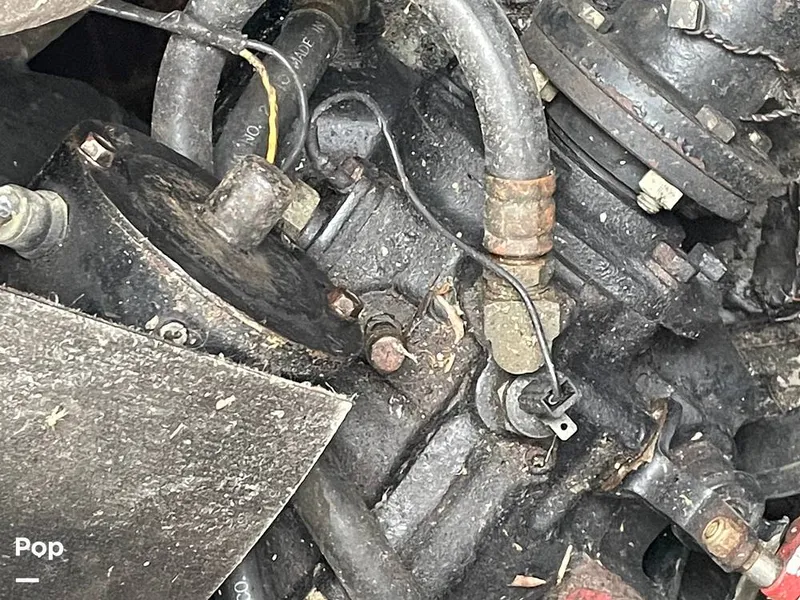 Slide: The Image of Chris-Craft Catalina 294 Express 1986 - 11335723