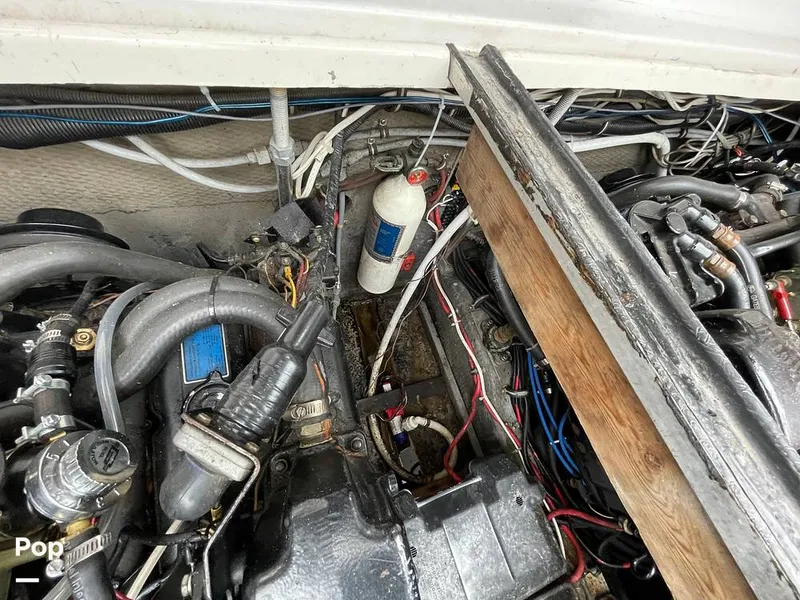 Slide: The Image of Chris-Craft Catalina 294 Express 1986 - 11335724