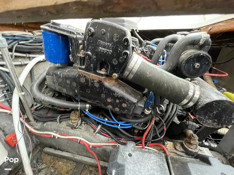 Slide: The Image of Chris-Craft Catalina 294 Express 1986 - 11335729