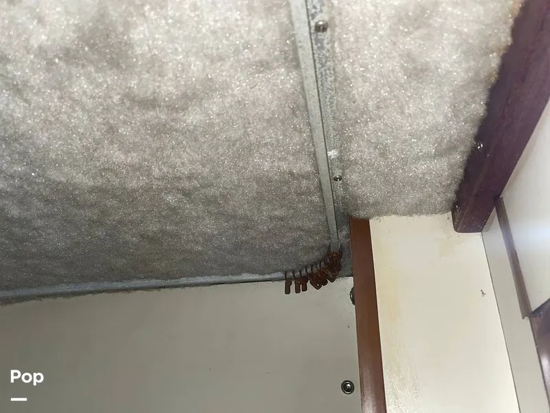 Slide: The Image of Chris-Craft Catalina 294 Express 1986 - 11335405