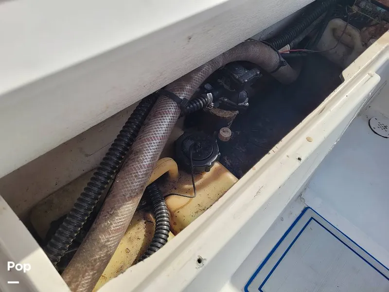 Slide: The Image of Aquasport 246 Explorer 1983 - 12412227