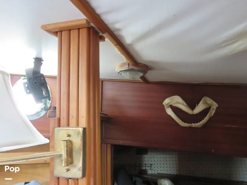 Slide: The Image of Wittholz Not Defi 1969 - 11174948