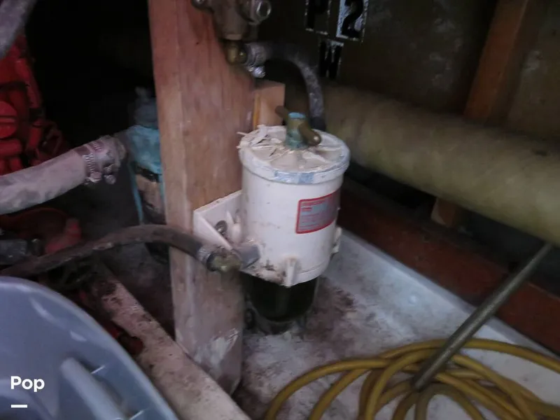 Slide: The Image of Wittholz Not Defi 1969 - 11175172