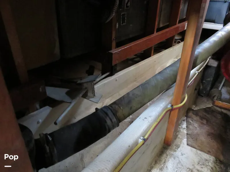 Slide: The Image of Wittholz Not Defi 1969 - 11175174