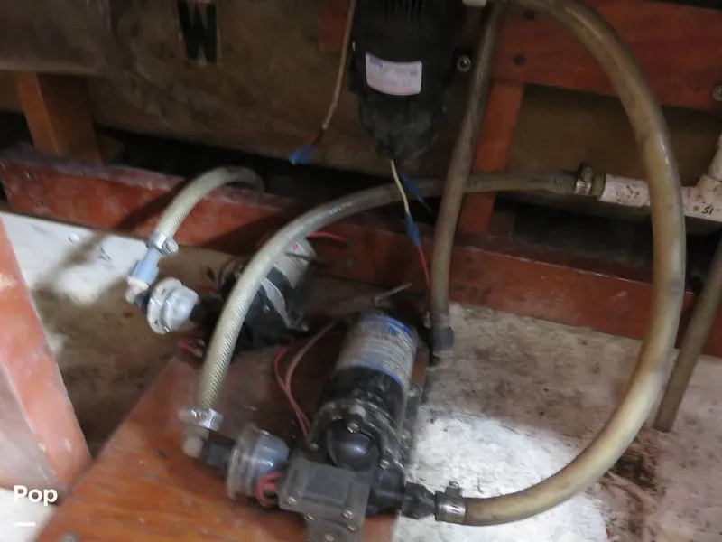 Slide: The Image of Wittholz Not Defi 1969 - 11175175