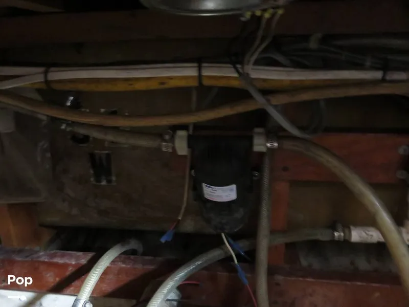 Slide: The Image of Wittholz Not Defi 1969 - 11175176