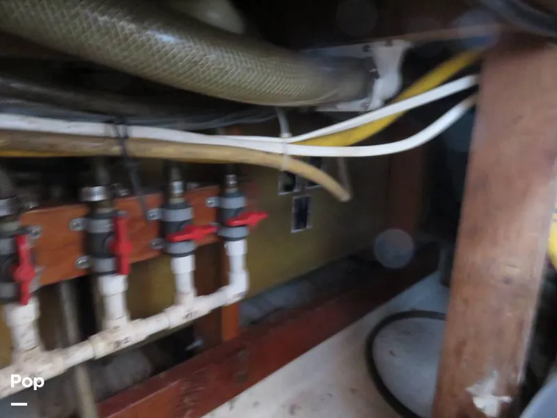 Slide: The Image of Wittholz Not Defi 1969 - 11175177