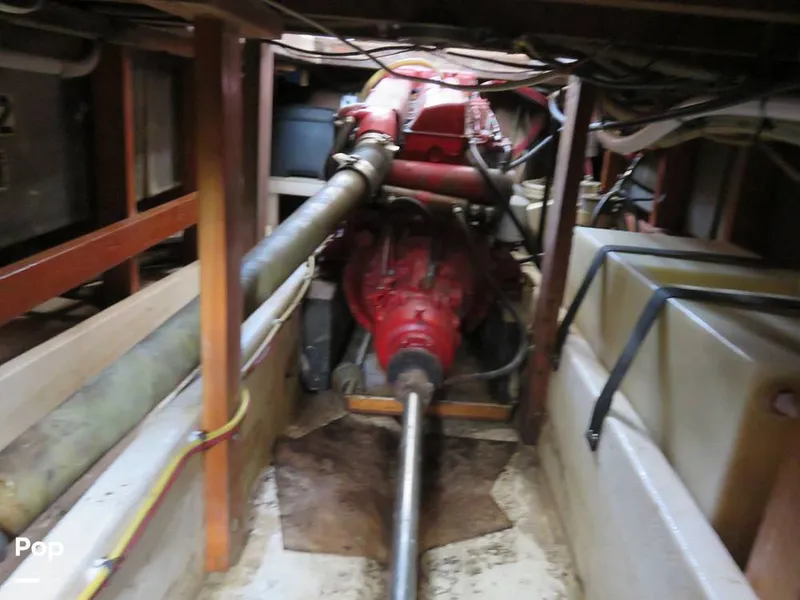 Slide: The Image of Wittholz Not Defi 1969 - 11175178