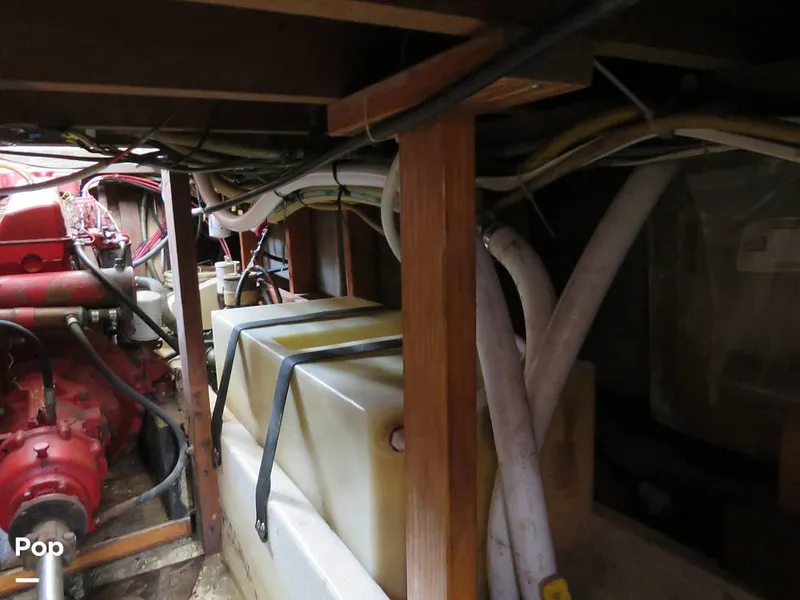 Slide: The Image of Wittholz Not Defi 1969 - 11175179