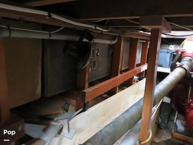 Slide: The Image of Wittholz Not Defi 1969 - 11175180