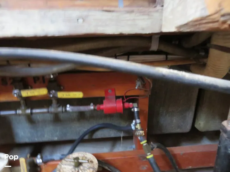 Slide: The Image of Wittholz Not Defi 1969 - 11175192