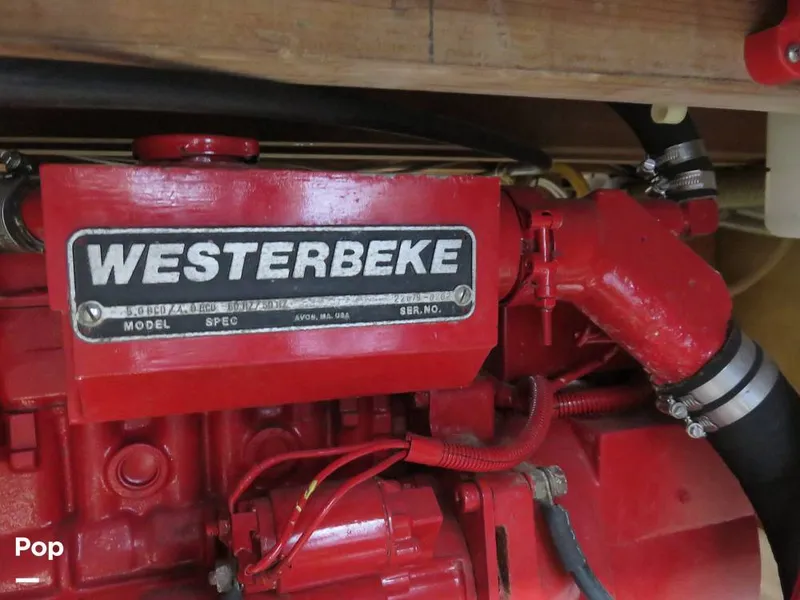 Slide: The Image of Wittholz Not Defi 1969 - 11175201