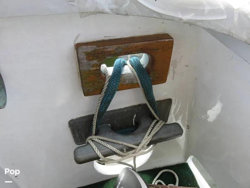 Slide: The Image of Wittholz Not Defi 1969 - 11175221