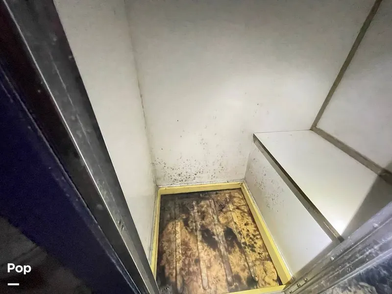 Slide: The Image of Chris-Craft Roamer 58 1971 - 11332568