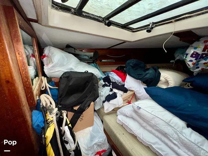 Slide: The Image of Pearson 40 1979 - 11557884