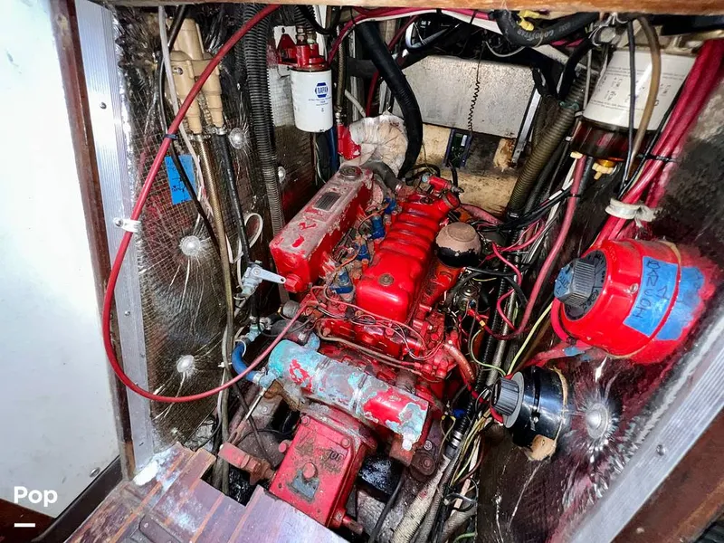 Slide: The Image of Pearson 40 1979 - 11557897