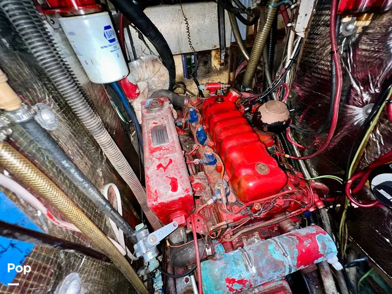 Slide: The Image of Pearson 40 1979 - 11557899