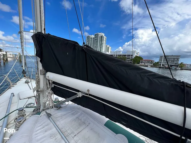 Slide: The Image of Pearson 40 1979 - 11557539