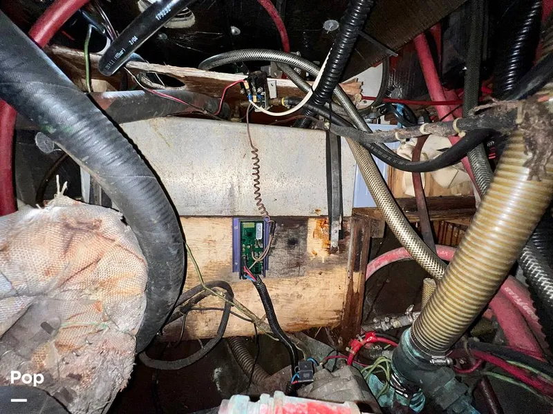 Slide: The Image of Pearson 40 1979 - 11557906