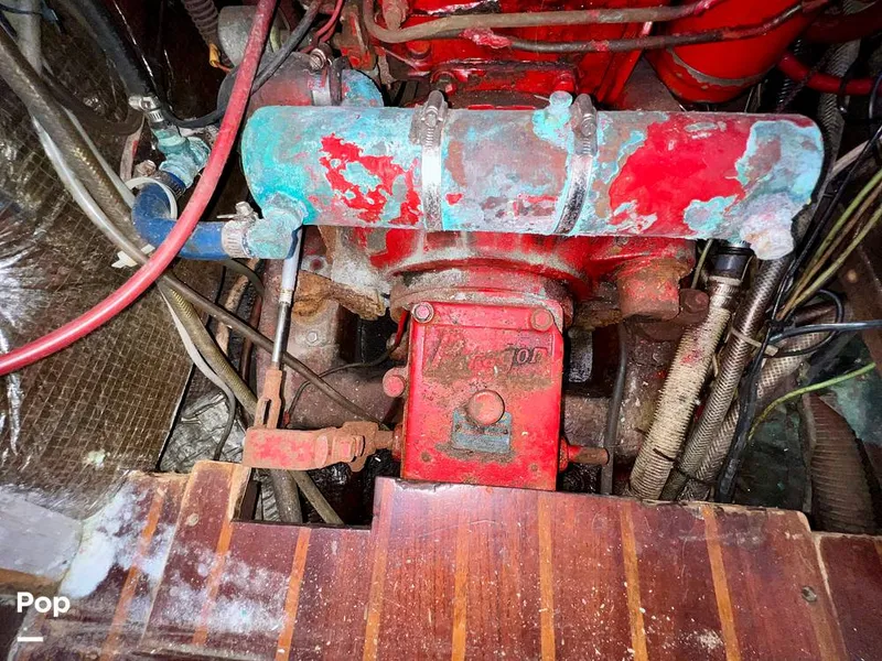 Slide: The Image of Pearson 40 1979 - 11557910