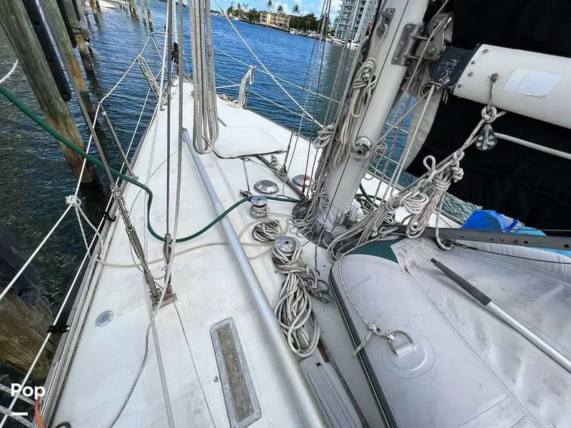 Slide: The Image of Pearson 40 1979 - 11557543