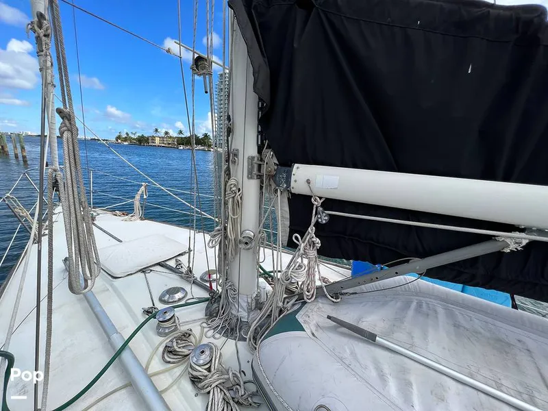 Slide: The Image of Pearson 40 1979 - 11557544