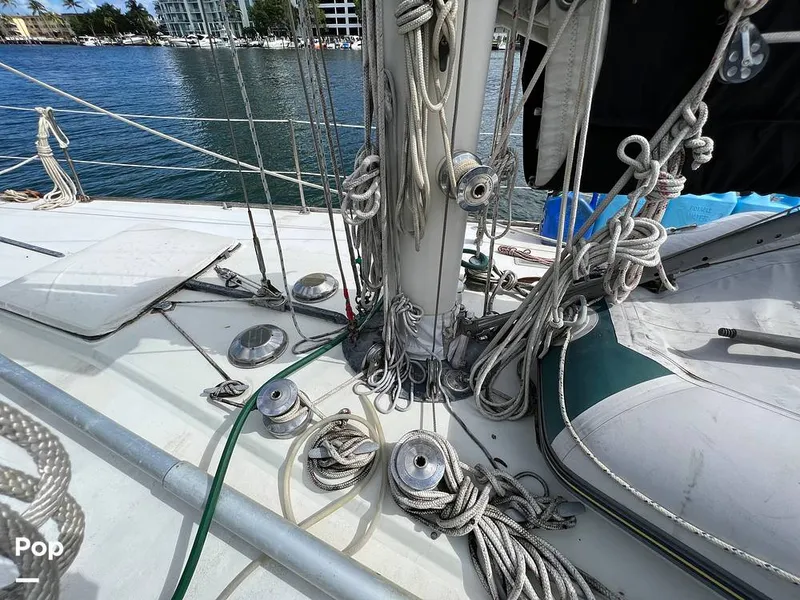 Slide: The Image of Pearson 40 1979 - 11557546