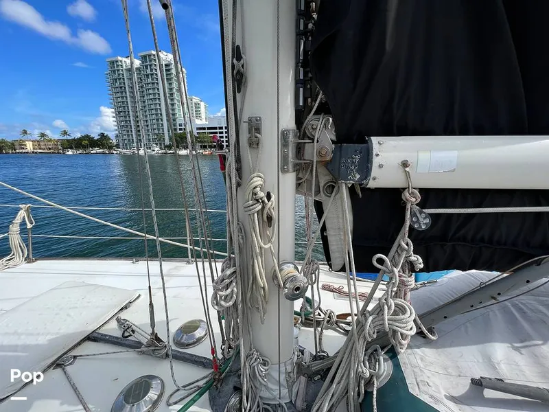 Slide: The Image of Pearson 40 1979 - 11557547