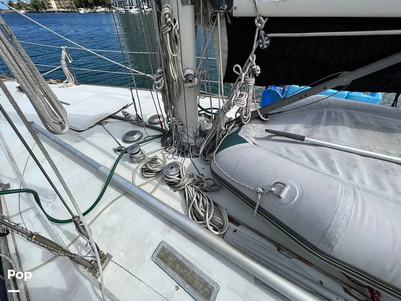 Slide: The Image of Pearson 40 1979 - 11557549