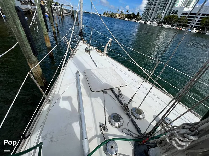 Slide: The Image of Pearson 40 1979 - 11557550