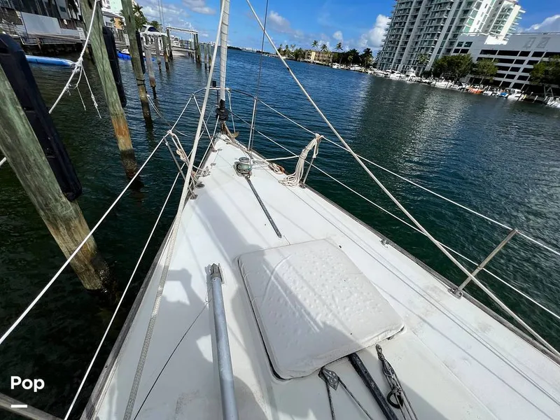 Slide: The Image of Pearson 40 1979 - 11557551