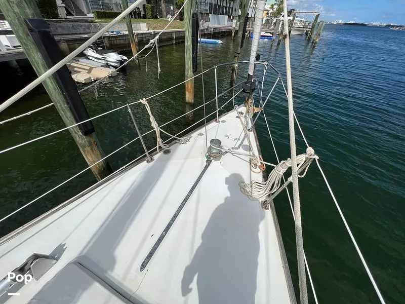 Slide: The Image of Pearson 40 1979 - 11557552