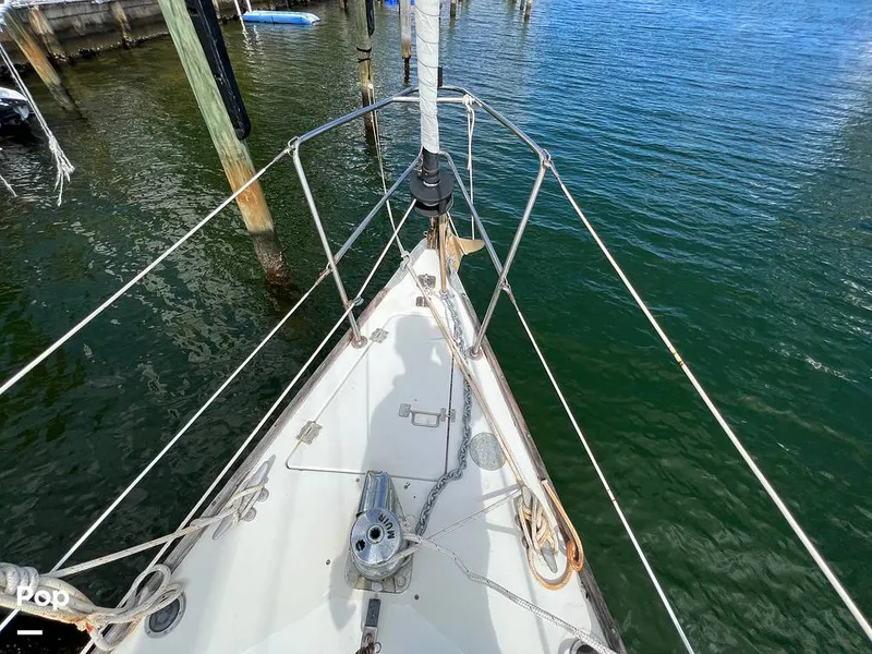 Slide: The Image of Pearson 40 1979 - 11557553