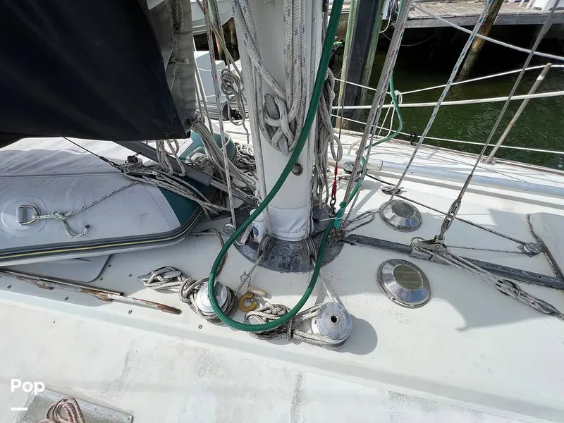 Slide: The Image of Pearson 40 1979 - 11557558