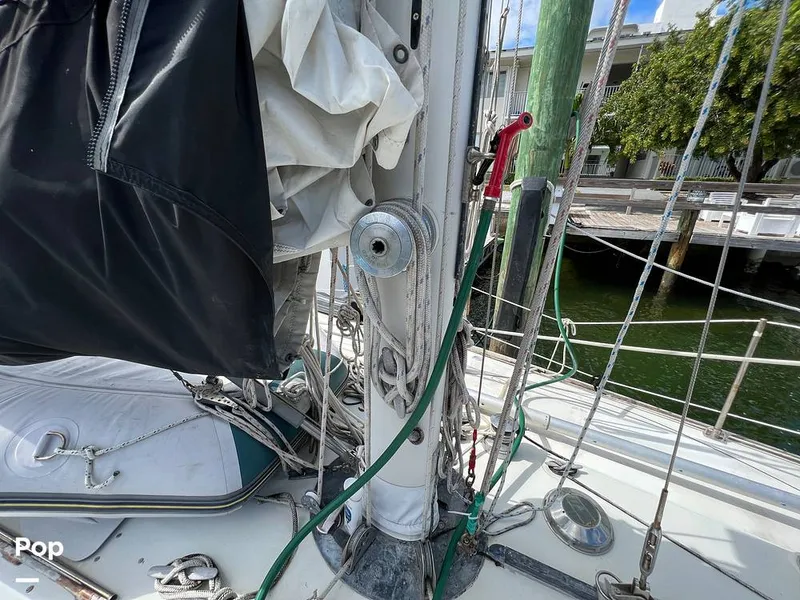 Slide: The Image of Pearson 40 1979 - 11557559