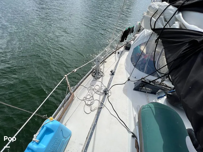 Slide: The Image of Pearson 40 1979 - 11557654