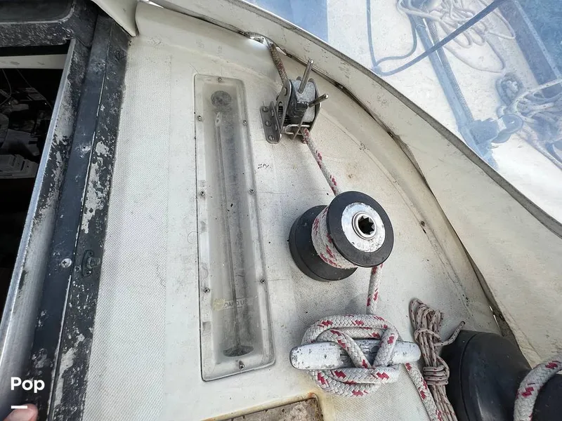 Slide: The Image of Pearson 40 1979 - 11557662