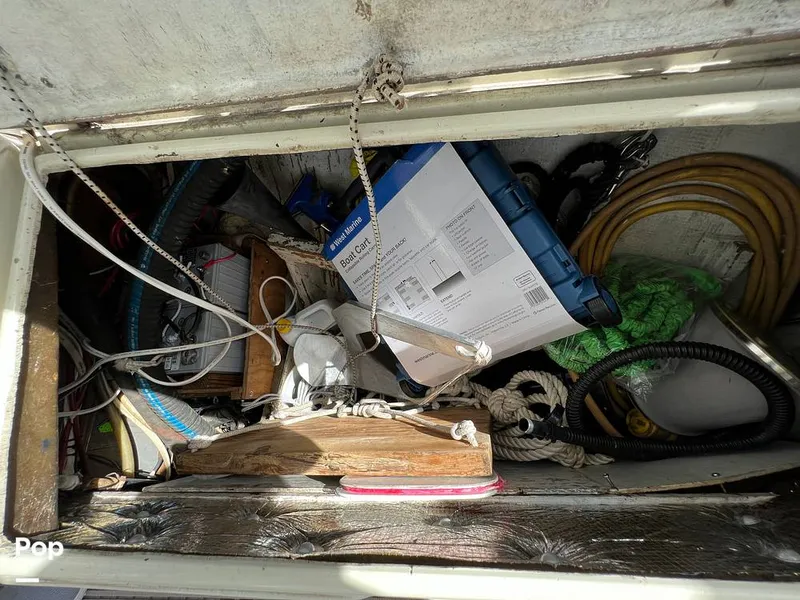 Slide: The Image of Pearson 40 1979 - 11557683